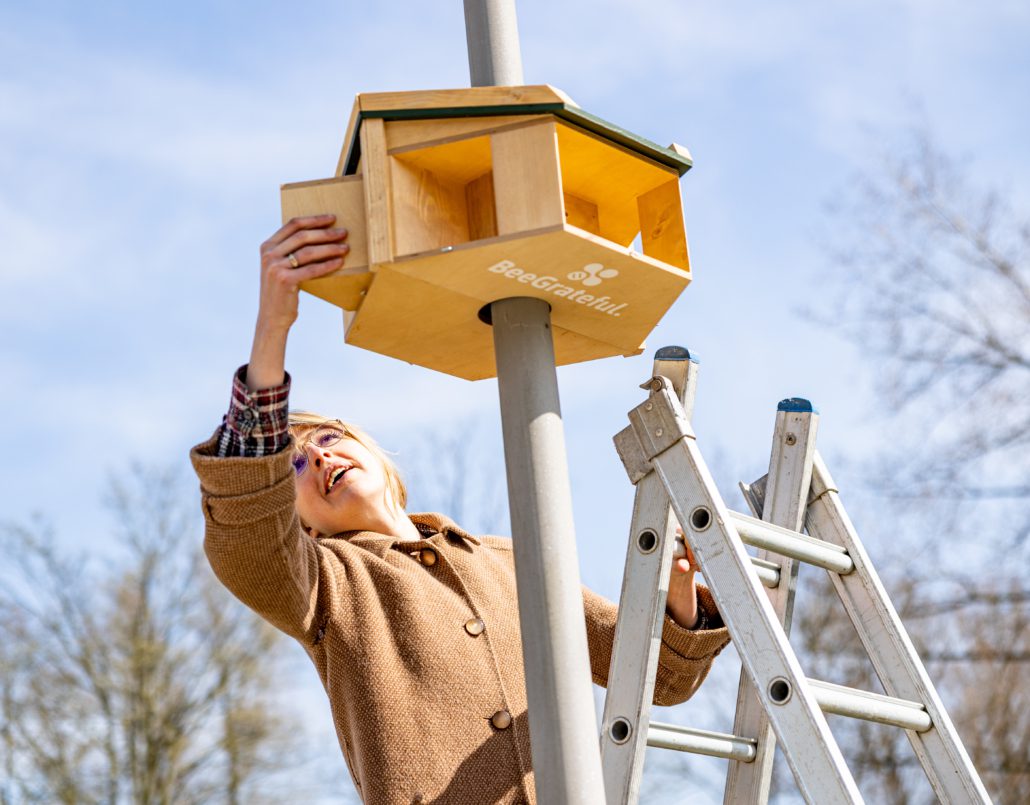Foto Streetlight Bee&Bee Robèrt Kroonen (12)