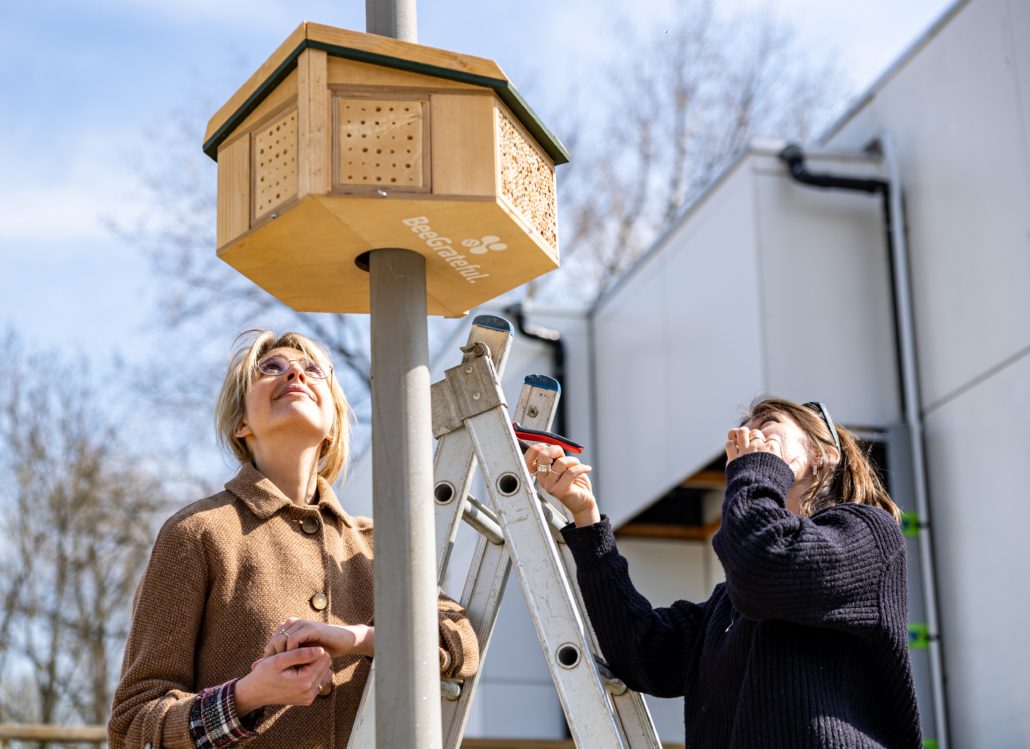 Foto Streetlight Bee&Bee Robèrt Kroonen (13)
