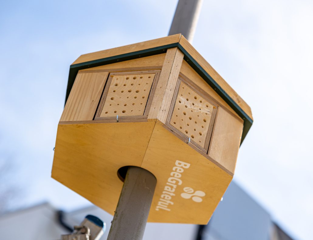 Foto Streetlight Bee&Bee Robèrt Kroonen (14)