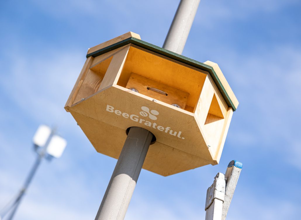 Foto Streetlight Bee&Bee Robèrt Kroonen (8)