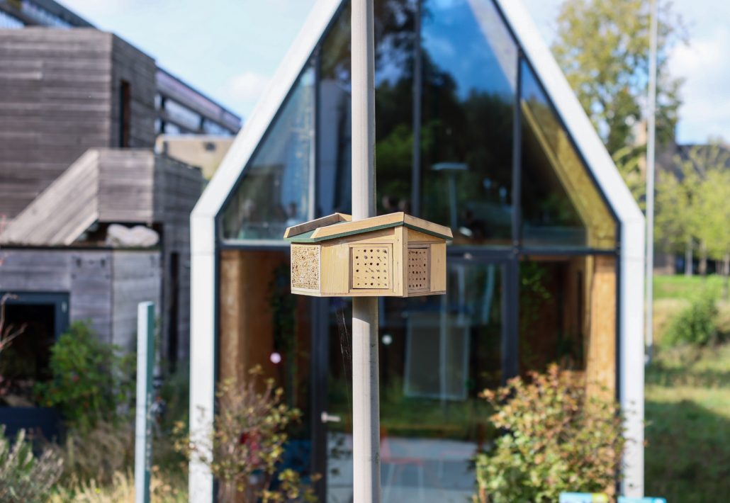 20231005 Onderzoeksresultaten Streetlight Bee&Bee - Fotograaf Robèrt Kroonen (24) - verkleind