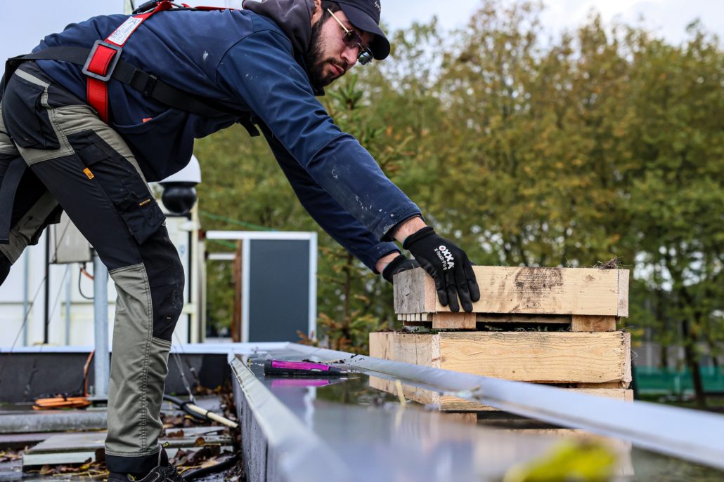 20231031 Installatie groen biobased dak - Robèrt Kroonen (24) - verkleind