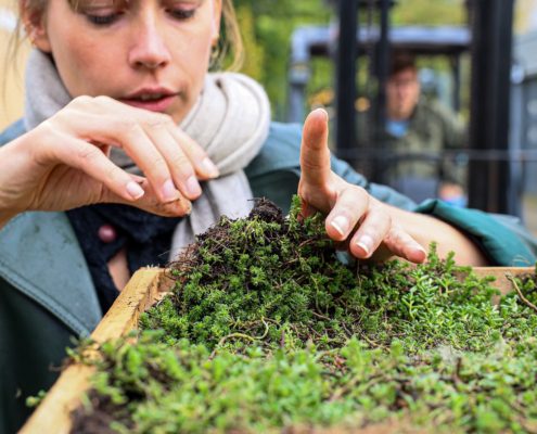 20231031 Installatie groen biobased dak - Robèrt Kroonen (3) - verkleind