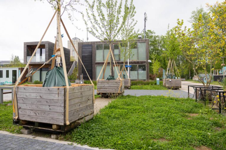 Bomenonderzoek-bij-het-hitteplein-©The-Green-Village-1024x683